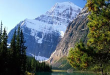 阿根廷传奇出战成功，南美杯赛势如破竹