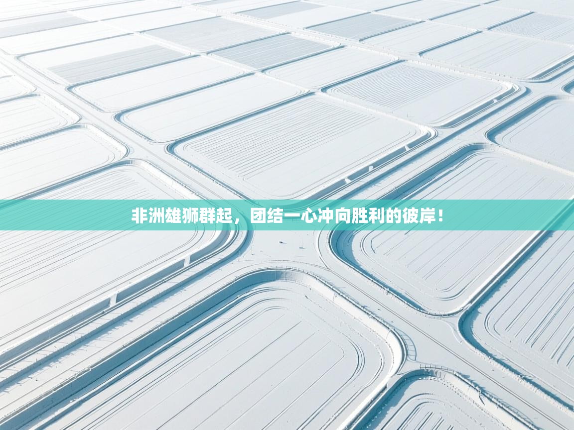 非洲雄狮群起，团结一心冲向胜利的彼岸！