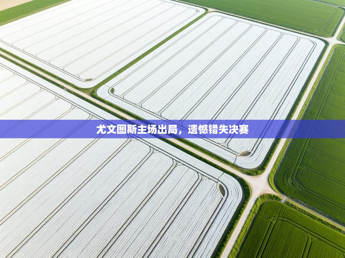 尤文图斯主场出局,遗憾错失决赛 第2张