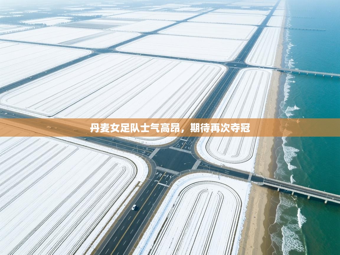 丹麦女足队士气高昂,期待再次夺冠 第1张