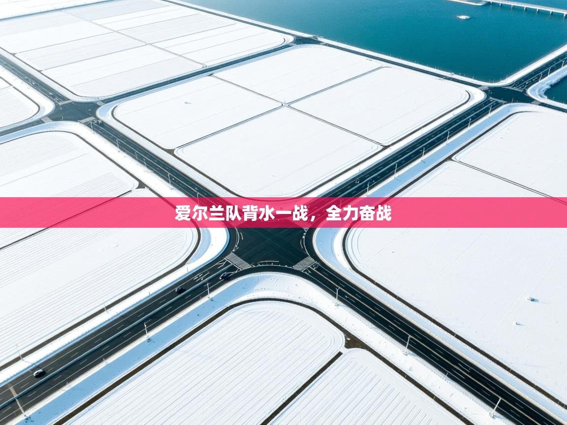 爱尔兰队背水一战,全力奋战 第1张