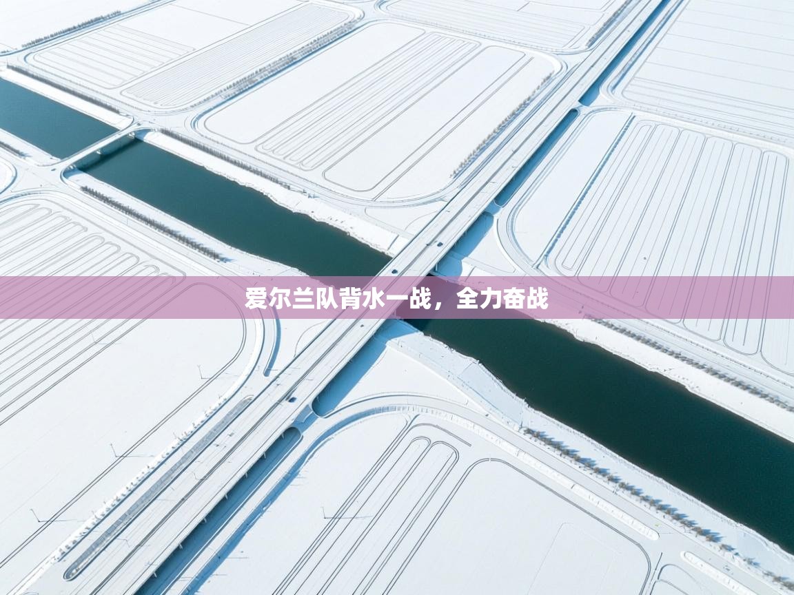 爱尔兰队背水一战,全力奋战 第2张